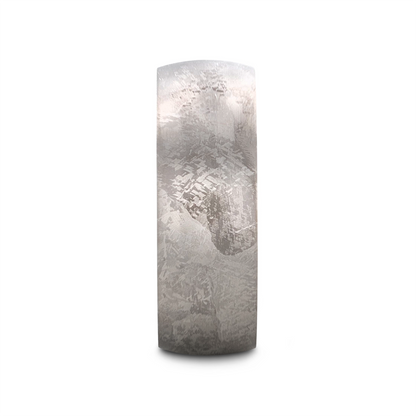 MAGELLANIC Domed Titanium Ring with Meteorite Pattern - 8mm