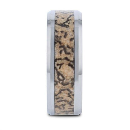 ORDOVICIAN Dinosaur Bone Inlaid Tungsten Carbide Beveled Edged Ring - 4mm or 8mm